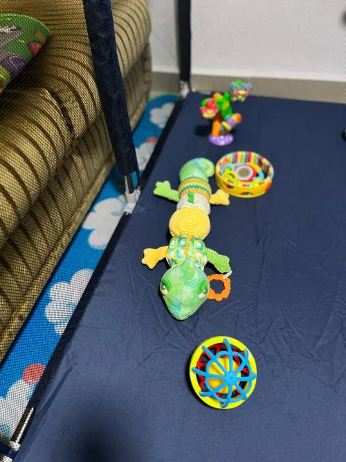 MUSICAL PLUSH | CAMELODY™