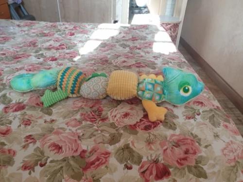 MUSICAL PLUSH | CAMELODY™