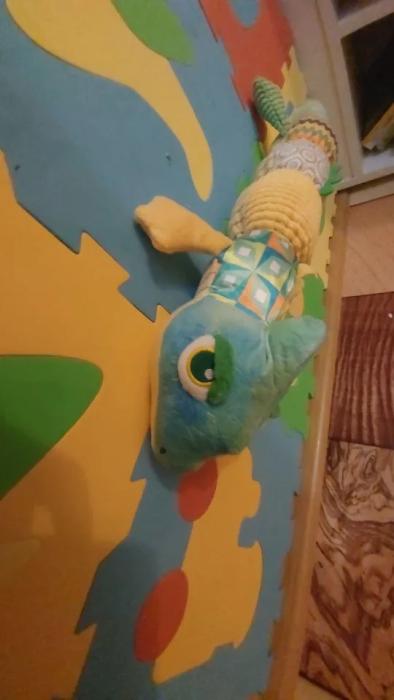 MUSICAL PLUSH | CAMELODY™