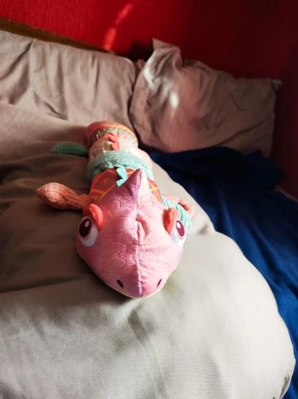 MUSICAL PLUSH | CAMELODY™