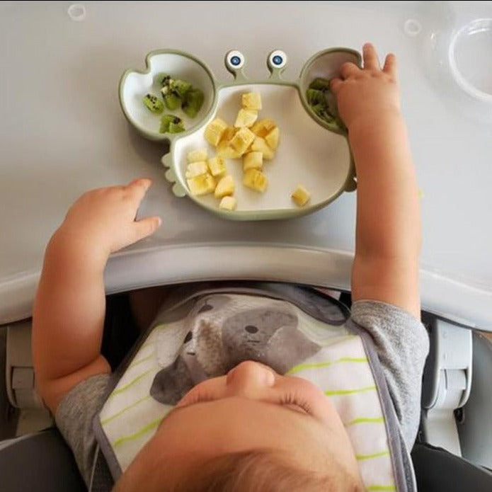 CRAB SHAPED BABY MEAL KIT | CRABYPLATE™