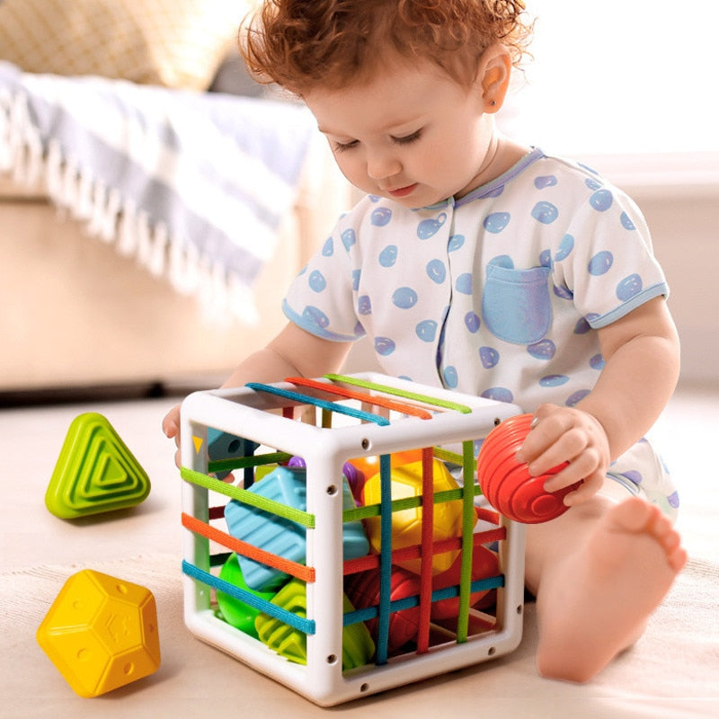 SENSORY SORTING TOY | MONTESSORI™