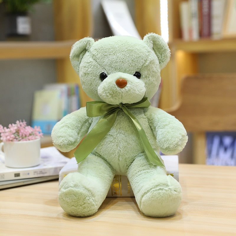 TEDDY BEAR PLUSH | LITTLEBEAR™