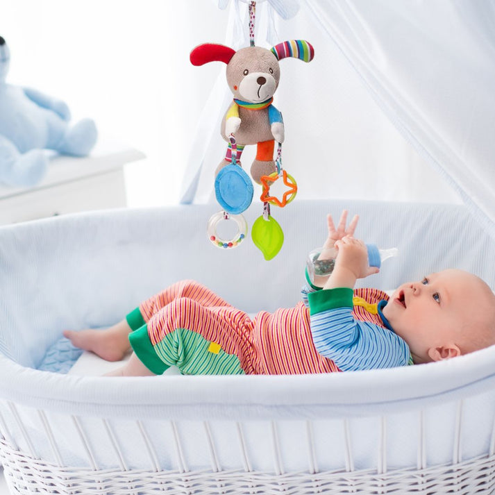HOCHET POUR BÉBÉ | TENDRWAKE™