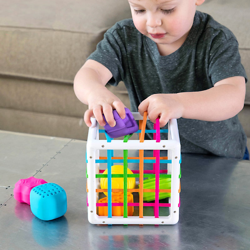 Montessori Sensory Sorting Toy