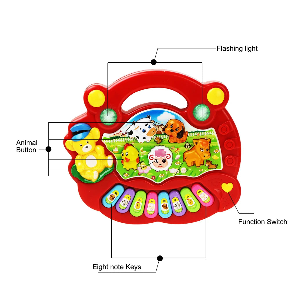 MUSICAL EDUCATIONAL TOY | EDUCAZOO™