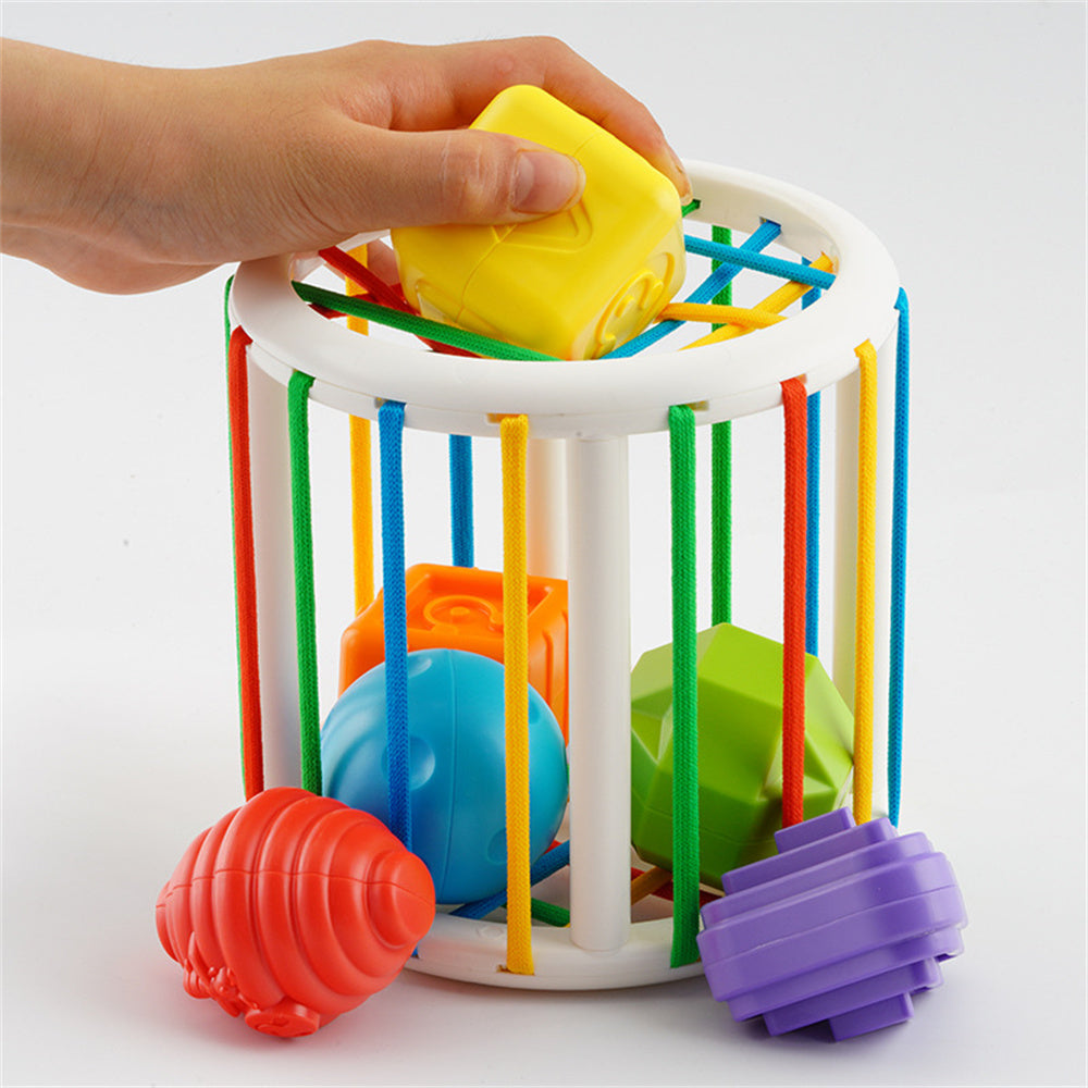 Montessori Sensory Sorting Toy