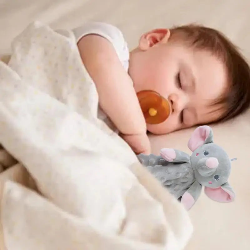 PERSONALIZED PLUSH BLANKET CUTE ANIMALS | ANIPLUSH™